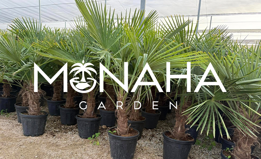 Monaha Garden