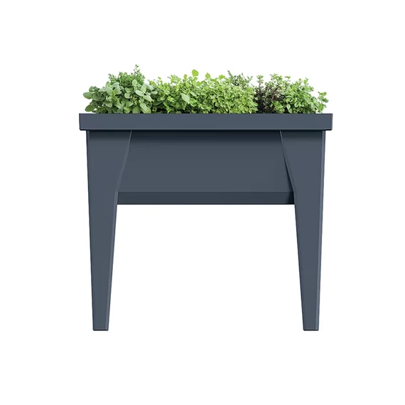 Bloomax palántázó