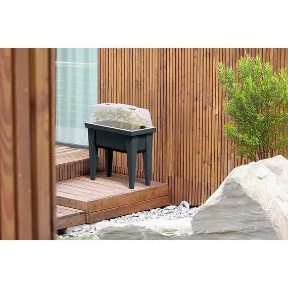 Bloomax palántázó