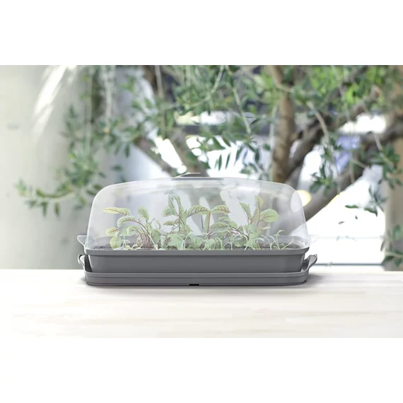 Asztali palánta nevelő - 39 cm