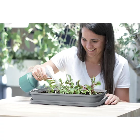 Asztali palánta nevelő - 39 cm