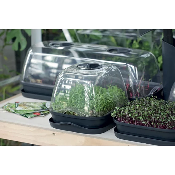 Asztali palánta nevelő 