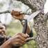 FISKARS Plus összecsukható fűrész SW68